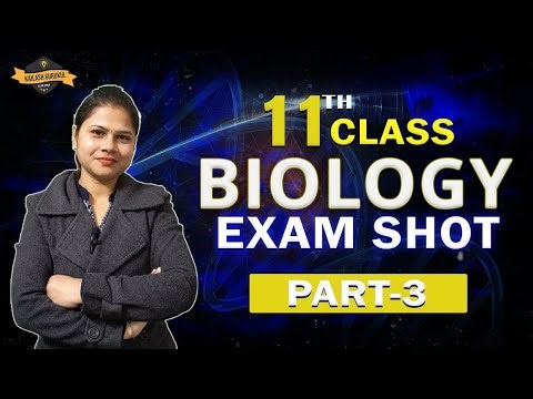 Class 11 Biology Exam Preparation | One Shot Revision Part 3