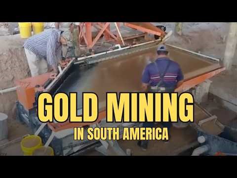 Why We Crush COARSE: Capturing Huge Gold in South America