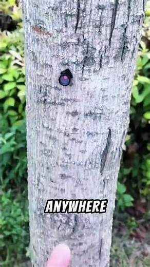 Top 3 Amazing Chinese Gadgets 😧