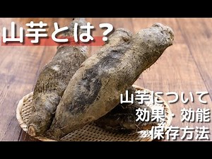 【TETONEZE KITCHEN】山芋とは？-効果効能や保存方法についてご紹介#山芋#沖縄#料理