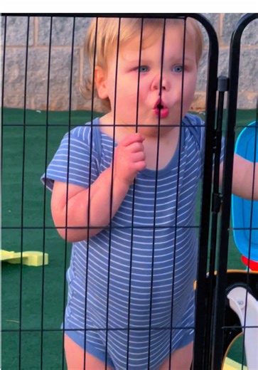Triplet Pygmy Goats Enjoying a 70-Degree Day