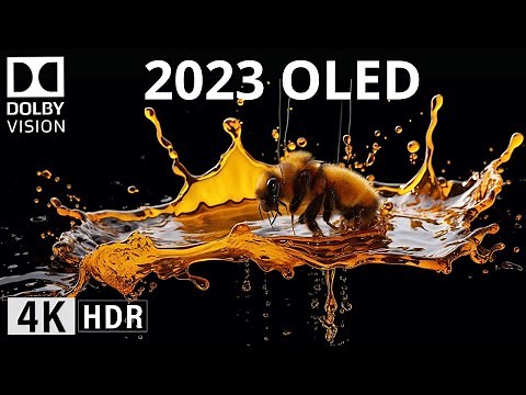 OLED DEMO 2023 | 4K HDR 'The Color' Dolby Vision