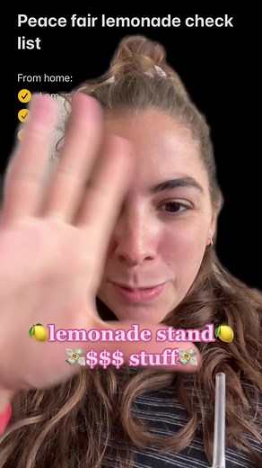 Lemonade Stand Equipment Breakdown and Setup Tips