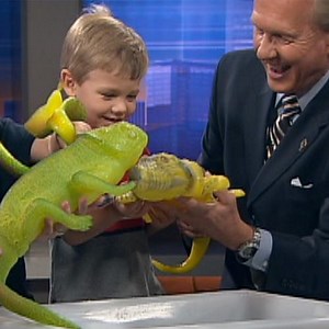 Growing Creatures - Superabsorbent Polymers - Steve Spangler
