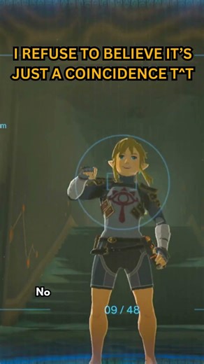 THE MOST USELESS SECRETS YOU MISSED IN BOTW!!!