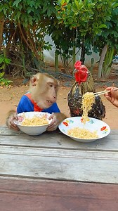 96K views · 899 reactions | Don't You Eating ! Monkey SokYaa Challenge Eat Yellow Noodles At Home #reelsfypシ | I Am SokYaa | Facebook