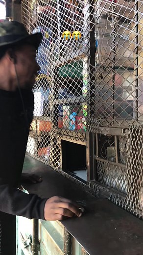 Understanding the Cost of a Tortoise and Tropic