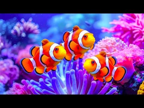 The Best 4K Aquarium - Dive Into The Mesmerizing Underwater Realm, Sea Jellyfish, Coral Reefs. #76
