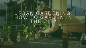 Urban Gardening: How to Garden in the City