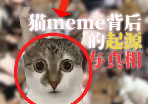 你真的了解meme吗？爆火猫meme背后的起源与真相