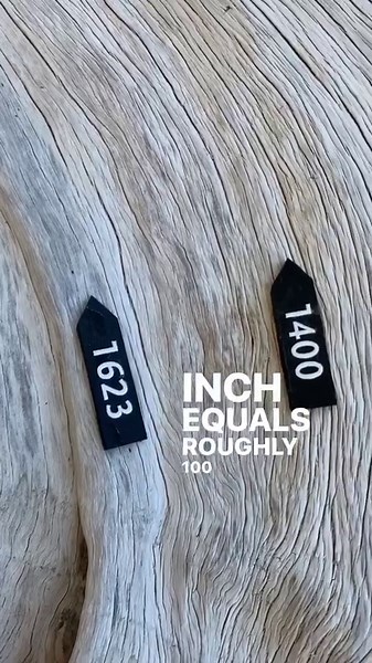 2.9M views · 723 reactions | The majesty of a 1800 yrs old bonsai 勞via @jewslovetrees | Bonsai Society | Facebook