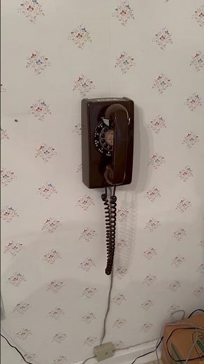 Ring Ring! Classic House Phone in Action