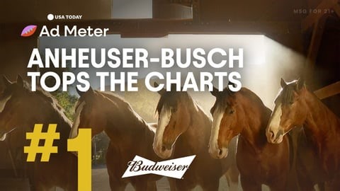Budweiser Scores With Super Bowl Commercial