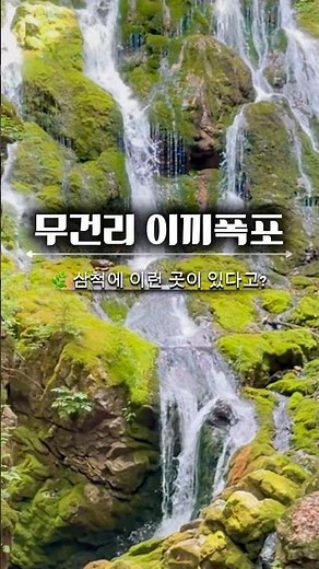 왕복 6km 걸어야 만날 수 있는 삼척의 숨은 비경🌿 무건리 이끼폭포 #삼척여행 #도계읍 #강원도여행 #국내여행 #국내트레킹 #등산 #계곡여행 #이끼폭포 #강원도가볼만한곳