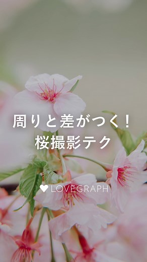 写真教室📸ラブグラフアカデミー | 周りと差がつく！？桜フォトにチャレンジしよう🌸 カメラライフが今よりもっと楽しくなる♪撮影テク公開👉 @lovegraph_academy シャッタースピードを あえて遅くして、ブラして撮ると…？ ぜひ試してみてくださいね🌸 Lovegrapher▶️たけたろ... | Instagram