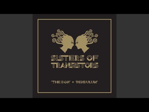 The Don (Hot Chip Remix)