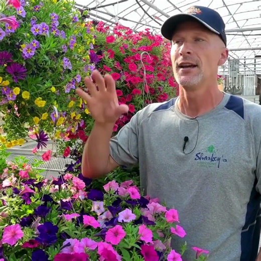 The ONE Thing You Can Do to Grow Beautiful Flowers this Year!