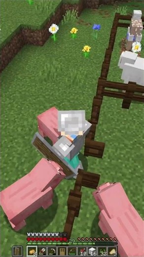 2 Pigs, 1 Door, 0 Brain Cells. #minecraft #minecraftfunny #minecraftbuilding #minecraftmemes