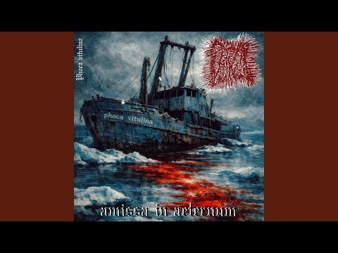 Flesh Interface Error