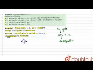 Assertion: Nitrate present in the soil is reduced to nitrogen by the process of denitrification