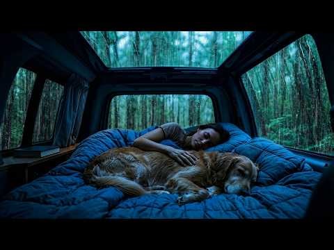 Cozy Rain & Thunder in Car: ASMR for Deep Sleep & Relaxation