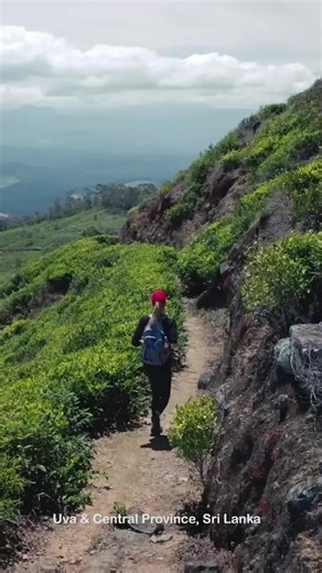 Everyone needs a little Serendipity once in a while. Jen found hers in a very unique place. The Pekoe Trail, Sri Lanka is hundreds of kilometers of discovering new cultures, wildlife, stories, and yourself on foot. All in the lush scenery in Sri Lanka's mountain and tea country. The Pekoe Trail is under development and will be ready for travelers in 2023. Get in touch with us to find out more. The Pekoe Trail is funded by the European Union (EU) with additional support from the United States Age
