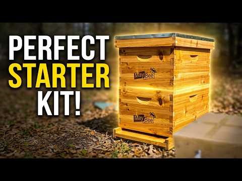 Maybee 8-Frame Bee Hive Unboxing + Nuc Installation (Full Setup)