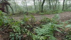 毛晓彤打戏干净利落