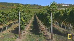 13 reactions | Dissecting ancient German towns, travelling on the Rhine gives you an opportunity to truly experience the history of this enigmatic and beautiful nation. We've teamed up with National Geographic to take you direct to the most inspiring and incredible spots in the heart of Germany. | Scenic | Facebook