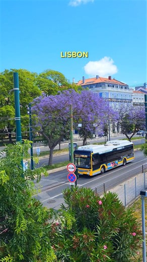 Spring in Lisbon PORTUGAL