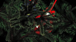 Day 12 - The Bat Pad Challenge Tonight is the night of the return of The Nightwatchmen straight after the BBL on Fox Cricket. a couple of tickets still available if you want to sit in the audience. log onto www.foxsports.com.au/thenightwatchmen. | The Professor and Barney