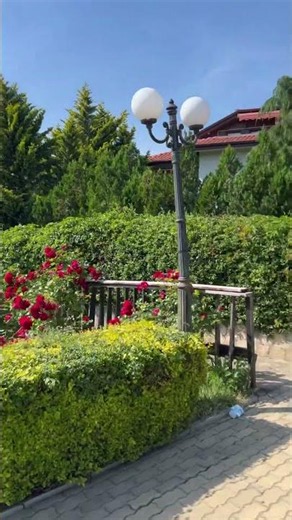 Summer holidays Sveti Vlas Bulgaria 🇧🇬🗺️⚓️🌅🛟🚤🚢🏖️🪴⛲️🌳