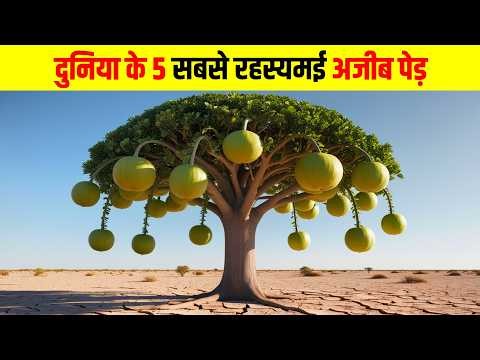 दुनिया के 5 सबसे रहस्यमई अजीब पेड़ | 5 most mysterious and strange trees in the world,