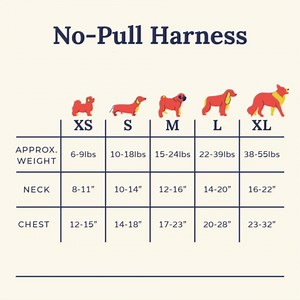 Lucy & Co. The Spring Green No-Pull Dog Harness - Size Small- Vest to Stop Pulling & Walk Easy - Comfortable Leash Training Product w/Adjustable Chest & Neck Straps