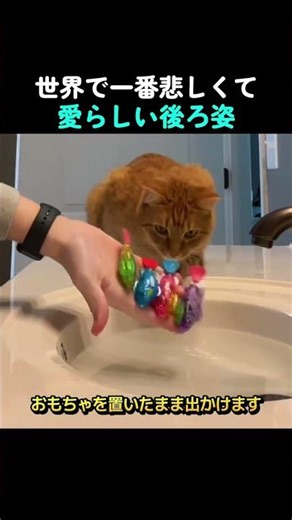 世界で一番悲しくて愛らしい後ろ姿