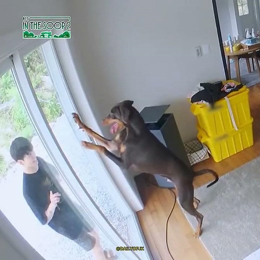 Jungkook Playing with Bam 😂😅 BTS IN THE SOOP SEASON 2 EP 2 #shots