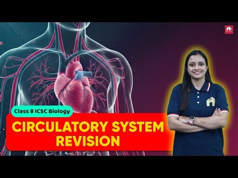 Blood, Heart & Vessels: Circulatory System Simplified | ICSE Class 8 Biology | Exam Revision