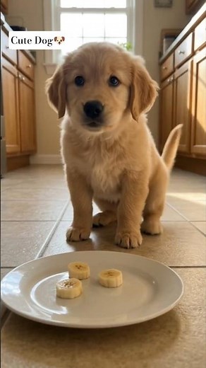 Puppy Loves a Tiny Banana Bite! 🍌🐶