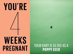 4 weeks pregnant | Symptoms, tips and more - Today's Parent