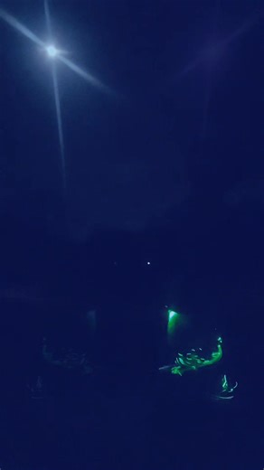 Holliwood1965.intuitive (@holliwood1965.intuitive)’s videos with Dancing in the Moonlight - King Harvest