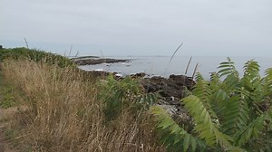Cape Elizabeth homeowners agree to pay $500,00 to stop public path