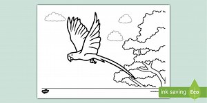 Flying Parrot Colouring Page