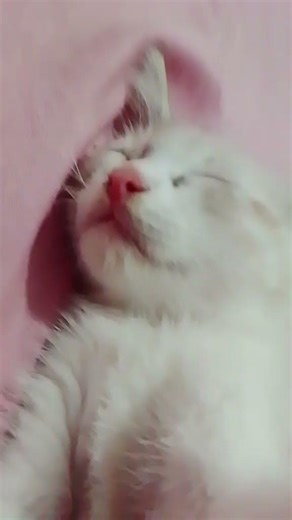 hago uno por ahora con las luces apagadas y solo con el flash de la linterna de mi celular?