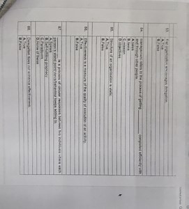 53. Flat organization encourages delegation.A. True  B. False... | Filo