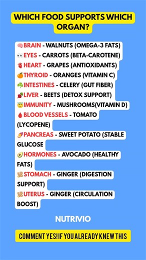 Organ-Supporting Foods You Should Eat DailyBest Superfoods for Brain, Heart, Thyroid, Gut & Hormones