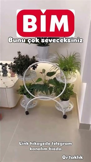 Bu saksıdan kim almak istemez ki #evlilik