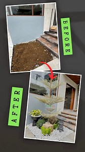 259K views · 3.4K reactions | Choosing the right plants for your front yard can truly enhance its beauty and create a welcoming, vibrant atmosphere. #landscapedesign #landscapeph #outdoorliving #landscaperph #PlantSupplier #greenyard #GreenYardGoals | Green Yard PH | Facebook