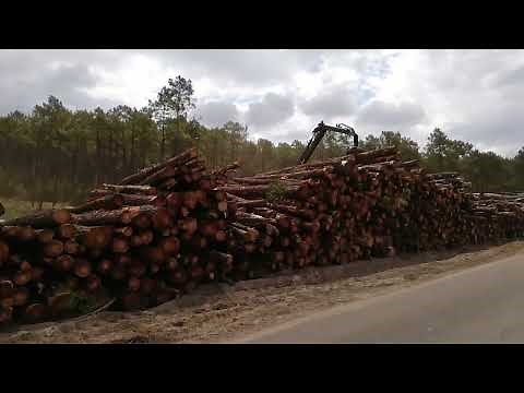 Incendies en Gironde : création d'un gigantesque pare-feu avant les Landes