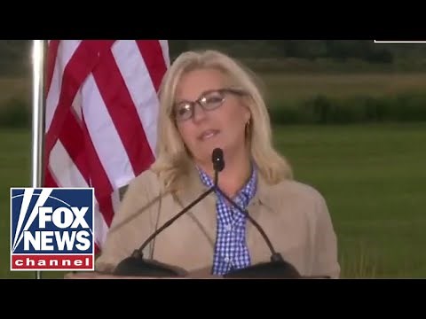 Liz Cheney concedes