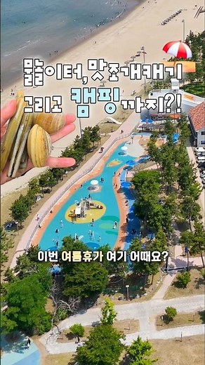 맛조개➕️물놀이터➕️해루질까지 여름휴가 아이와 캠핑 여기 완전 추천‼️#변산해수욕장